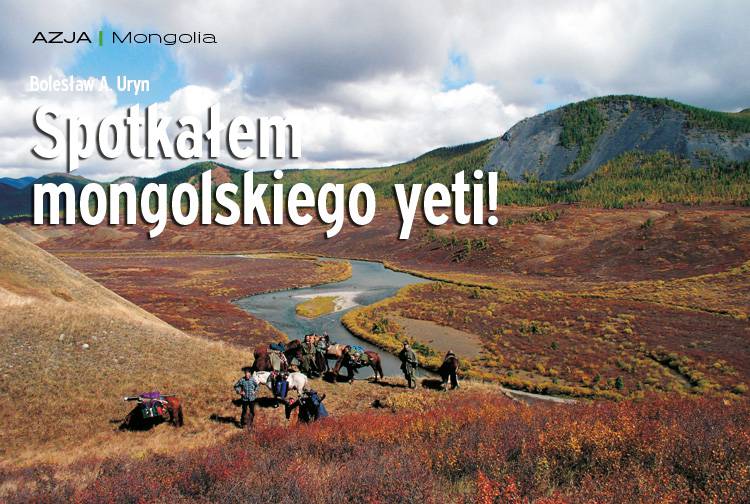 Losowy darmowy artykuł